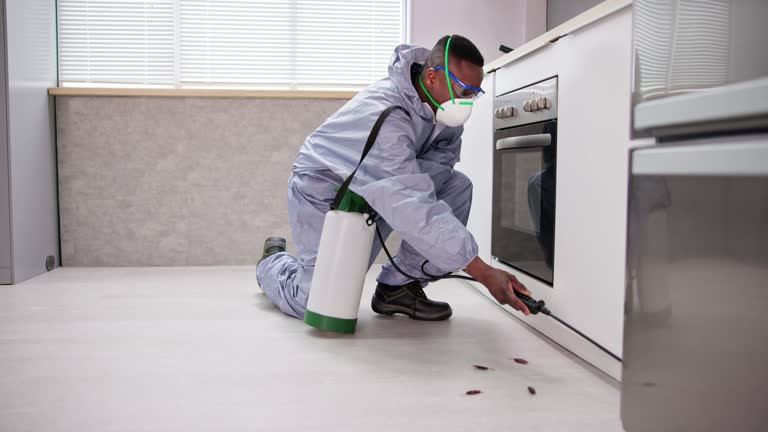 Best Commercial Pest Control  in Nokesville, VA